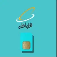 فروشنده خط ۰۹۱۹۵۴۵۵۴۵۶