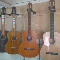 گیتار پارسی p80