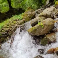 تور یک روزه