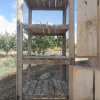 تعداد 3 عدد جفت کن سالم و محکم فروشی