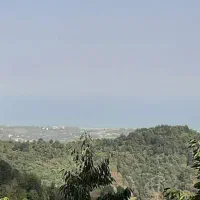 کلبه جنگلی سنتی روستایی   بکر و دنج  ویودار