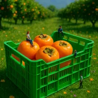 سبد لبه دار (ابهری)|عمده‌فروشی|قائم‌شهر, |دیوار