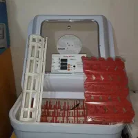 تخم نطفه دار|حیوانات مزرعه|کلاچای, |دیوار