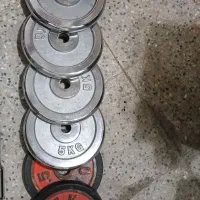 هالار،وزنه،دمبل، ورزشی،خانگی|تجهیزات ورزشی|یزد, |دیوار