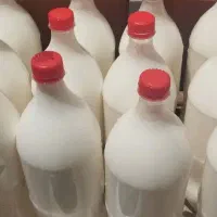 دوغ محلی مصرف خوراکی و آش