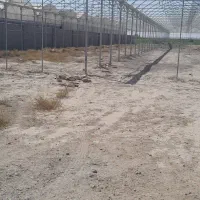 گلخانه/شهرک گلفام|فروش دفتر صنعتی، کشاورزی، تجاری|پاکدشت, پاکدشت (مامازند)|دیوار