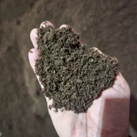 کود ورمی کمپوست کاملا ارگانیک با کیفیت تضمینی|خدمات باغبانی و درختکاری|رشت, باهنر|دیوار