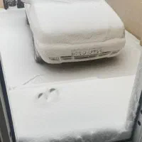 اجاره روزانه ویلا و سوییت