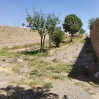 زمین خانه باغ|فروش زمین و ملک کلنگی|تربت‌حیدریه, بالا ولایت|دیوار