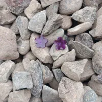 گوشواره میخی|زیورآلات و اکسسوری|آستانه اشرفیه, |دیوار