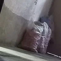 بطری نوشابه تک نفره