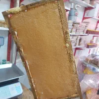 عسل دامنه کوه ها