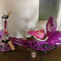 دوچرخه بنفش|دوچرخه، اسکیت، اسکوتر|تهران, جیحون|دیوار