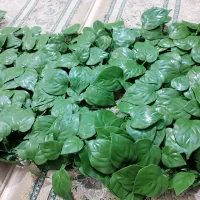 گرین وال|گل مصنوعی|کرج, خرمدشت|دیوار