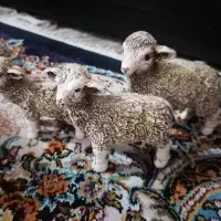 مجسمه|مجسمه، تندیس، ماکت|گرگان, |دیوار