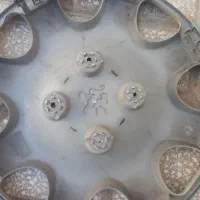 قالپاق پارس|قطعات یدکی و لوازم جانبی|سبزوار, توحیدشهر|دیوار