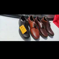 کفش چرم|کیف، کفش، کمربند|مرند, |دیوار