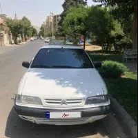 زانتیا سفید بیرنگ ۸۳