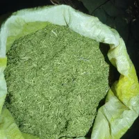 خار فروشی|لوازم جانبی حیوانات|صالح آباد (خراسان), |دیوار