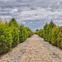 ویلا باغی مشجر با اسناد کامل در شهرک جاده دریا|فروش خانه و ویلا|بابلسر, |دیوار