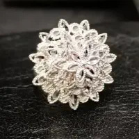 انگشتر گم شده حوالی ازادی یا میدان بروجردی