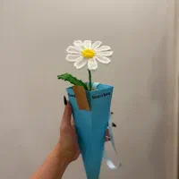تک شاخه بابونه همراه باکس قیفی
