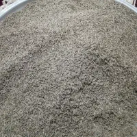 زیره سبز سروستان عالی درجه یک به شرط