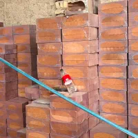 آجر نسوز نما انگلیسی|مصالح و تجهیزات ساختمان|کرج, شهرک بنفشه|دیوار