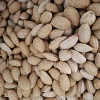 بادام نیمه کاغذی و سنگی|خوردنی و آشامیدنی|ماکو, |دیوار