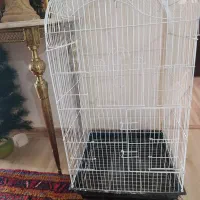 قفس پرنده عروس و مرغ عشق