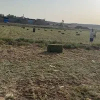 یونجه پرس شده