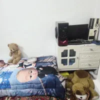 سرویس چوب سالم