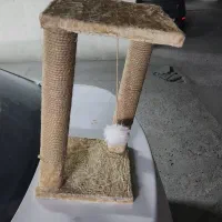 اسکرچر گربه