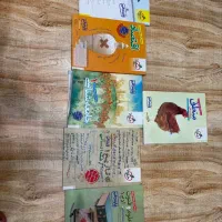 ۶ کتاب کمک درسی خیلی سبز دهم انسانی