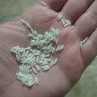 ۲ کیلو برنج هاشمی درجه ی ۱