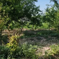 باغچه و باغ خوش آب و هوا/ منطقه امن /قابل ساخت