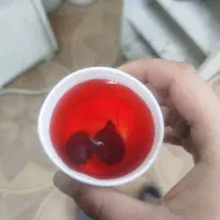 هبهاب خونی شرط اصل وفعال