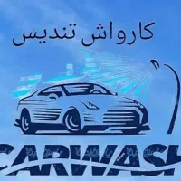 کار در کارواش (نیرو خانم)