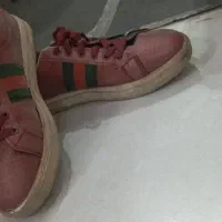 تعدادی کفش اسپرت و چمنی و سالنی