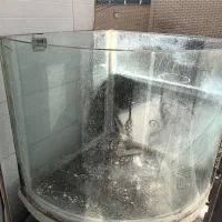 آکواریوم و پمپ و تصفیه کن وبخاری و تزئینی