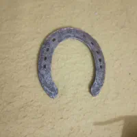 نعل اسب و دهانه