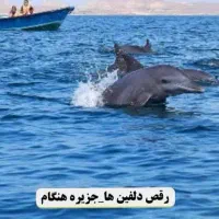 تور تفریحی قشم|تور و چارتر|سبزوار, قائم|دیوار