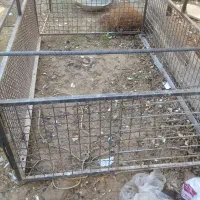 اتاق سه چرخ