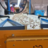 نوار دست چین گروه صنعتی سیفی|ماشینآلات صنعتی|رفسنجان, |دیوار