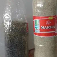 بذر سفید بنفش|گل و گیاه طبیعی|کوهدشت, |دیوار