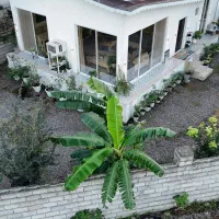 کدخارجی/ویلاخانه باغ۵۰۰متری برآسفالت گیلان سنگرمعل