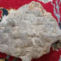 سنگ نوشته ، کتیبه و نسخه گنج