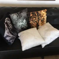 کوسن مبل بدون روکش در دو طرح|مبلمان خانگی و میز عسلی|ایزدشهر, |دیوار