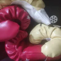 دستکش بکس