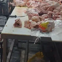 استخدام کارگر ساده قصاب